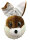 Hase Maskottchen Kostüm | Mietdauer 4 Tage**
